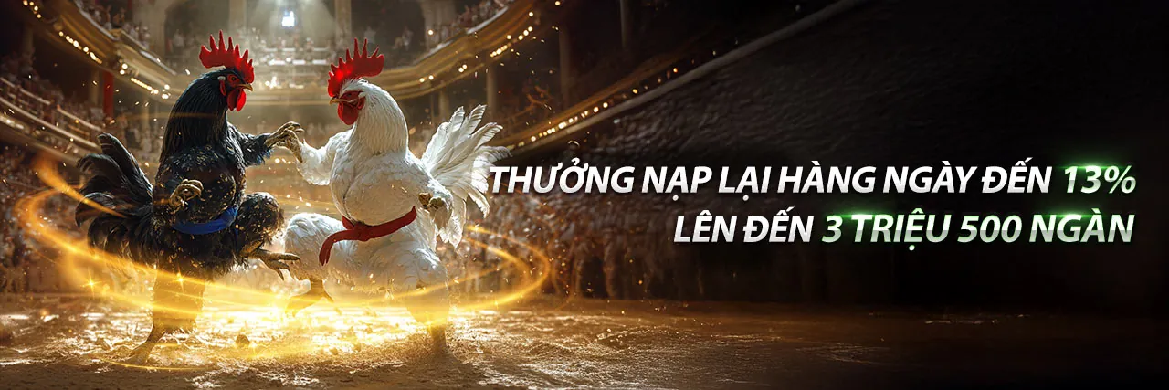 Đá Gà Thomo Trực Tiếp 21/4